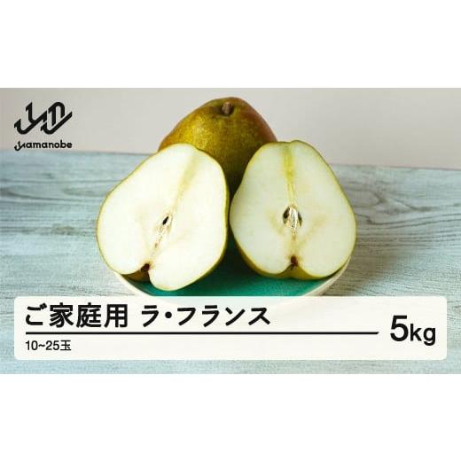 ふるさと納税 梨 山形県 山辺町 [先行予約]ラ・フランス ご家庭用 5kg 令和7年産 2025年産 西洋梨 山形県産 果物 送料無料 沖縄・離島への配送不可 ns-laxxw…