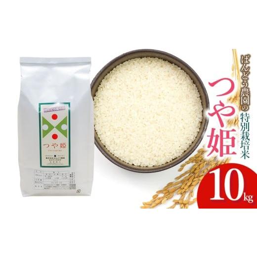 ふるさと納税 米 つや姫 山形県 鶴岡市 令和7年産 新米 ばんどう農園の特別栽培米つや姫 白米10kg 山形県鶴岡市産 K-784
