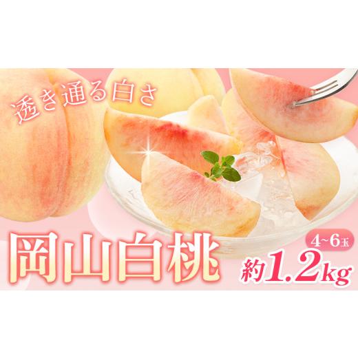 ふるさと納税 もも 岡山県 浅口市 2026年先行予約 桃 岡山白桃 約1.2kg 4-6玉 株式会社藍[2026年7月中旬-7月末頃出荷] 岡山県 浅口市 岡山県産 もも フルー…