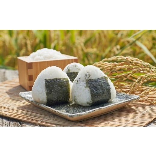 ふるさと納税 米 栃木県 栃木市 新米 食べ比べ 3種(各1Kg袋、合計3Kg)