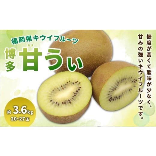 ふるさと納税 果物類 福岡県 香春町 福岡県ブランド キウイフルーツ 「博多甘うぃ」 化粧箱 大玉9玉 約1.4kg 2025年11月上旬〜11月下旬発送予定 キウイ 果物 …