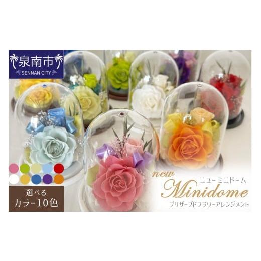 ふるさと納税 雑貨・日用品 花 大阪府 泉南市 ニューミニドーム プリザーブドフラワー アレンジメント 023D-015