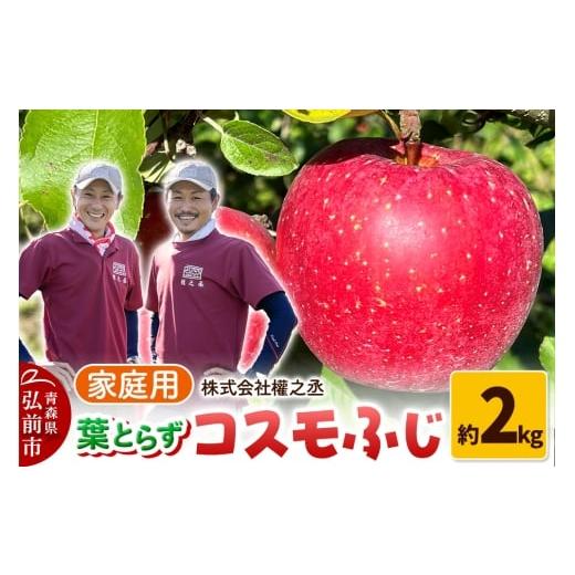 ふるさと納税 りんご 青森県 弘前市 25年11月出荷 りんご 權之丞 葉とらずりんご コスモふじ 家庭用 約2kg 弘前市産・青森りんご
