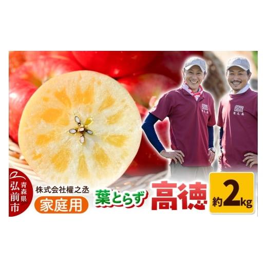 ふるさと納税 りんご 青森県 弘前市 25年11月出荷 權之丞 葉とらずりんご 高徳 (こうとく) 家庭用 約2kg 弘前市産・青森りんご