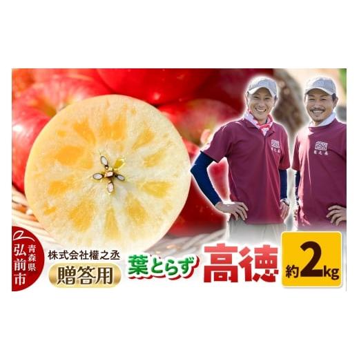 ふるさと納税 りんご 青森県 弘前市 25年11月出荷 りんご 權之丞 葉とらずりんご 高徳 贈答用 約2kg 弘前市産・青森りんご
