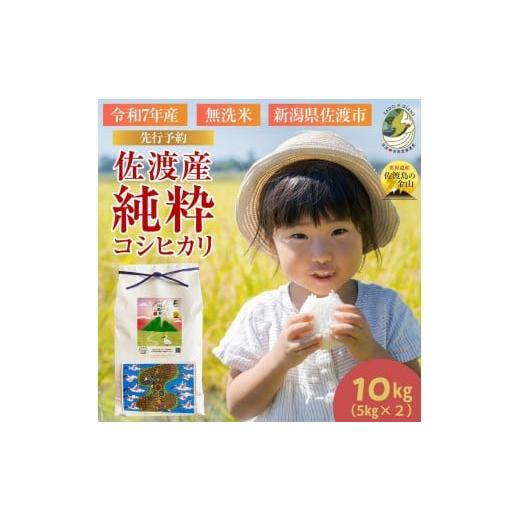 ふるさと納税 米 コシヒカリ 新潟県 佐渡市 新潟県佐渡 佐渡産の純粋コシヒカリ10kg 数量限定 令和7年産 精米 無洗米 5kg×2袋