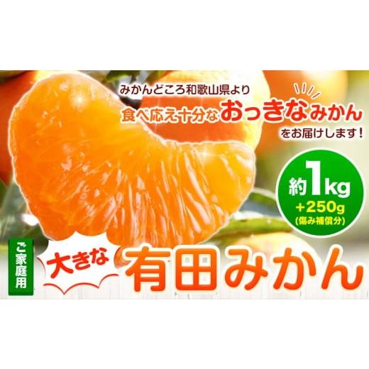 ふるさと納税 果物類 みかん 和歌山県 日高町 家庭用 大きな有田みかん 約1kg+250g (傷み補償分) わけあり・訳あり 光センサー選果 池田鹿蔵農園@日高町(…