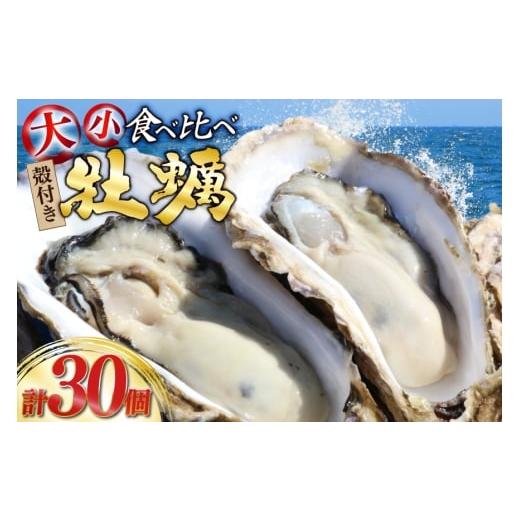 ふるさと納税 牡蠣 生牡蠣 宮城県 南三陸町 期間限定発送 殻付き 牡蠣 計30個 2種(三陸ジオイスター & OMAKI ) 食べ比べ セット 各15個 牡蠣ナイフ付 Geoyst…