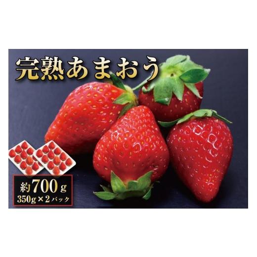 ふるさと納税 いちご 福岡県 大川市 2026年1月〜2月出荷予定 完熟 あまおう イチゴ 350g×2パック(約700g) 配送不可:北海道、沖縄県、離島