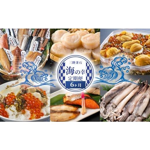ふるさと納税 魚貝類 岩手県 釜石市 fc-44-028 三陸釜石 海の幸定期便6ヶ月 かまいしDMC