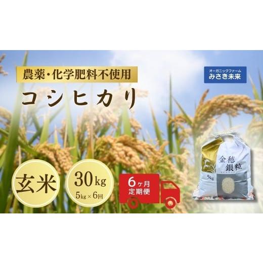 ふるさと納税 米 福島県 南相馬市 定期便 令和7年産 新米 コシヒカリ 玄米 30kg ( 5kg ×6回) | 無農薬 農薬不使用 化学肥料不使用 精米 お米 米 こめ コメ …