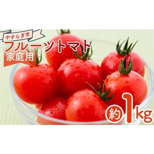 ふるさと納税 野菜類 トマト 高知県 香南市 2026年1月以降発送 フルーツトマト 1kg 家庭用 yr-0066