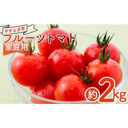 ふるさと納税 野菜類 トマト 高知県 香南市 2026年1月以降発送 フルーツトマト 2kg 家庭用 yr-0067