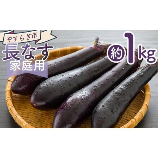 ふるさと納税 野菜類 茄子 高知県 香南市 2025年10月中旬以降発送 長なす 1kg 家庭用 yr-0070