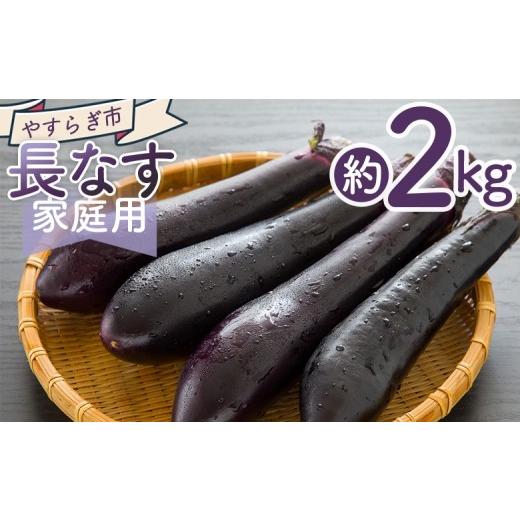 ふるさと納税 野菜類 茄子 高知県 香南市 長なす 2kg 2026年10月中旬以降発送 家庭用 茄子 国産 茄子 なすび 野菜 青果 肉厚 煮物 漬物 焼きなす 麻婆 訳あり …_1