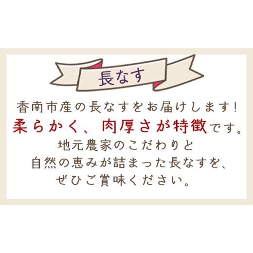 ふるさと納税 野菜類 茄子 高知県 香南市 長なす 2kg 2026年10月中旬以降発送 家庭用 茄子 国産 茄子 なすび 野菜 青果 肉厚 煮物 漬物 焼きなす 麻婆 訳あり …_2