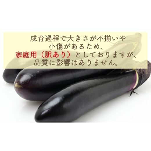 ふるさと納税 野菜類 茄子 高知県 香南市 長なす 2kg 2026年10月中旬以降発送 家庭用 茄子 国産 茄子 なすび 野菜 青果 肉厚 煮物 漬物 焼きなす 麻婆 訳あり …_3
