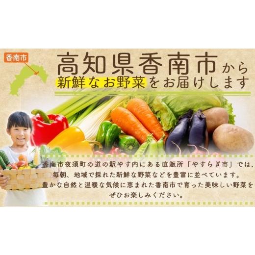 ふるさと納税 野菜類 茄子 高知県 香南市 長なす 2kg 2026年10月中旬以降発送 家庭用 茄子 国産 茄子 なすび 野菜 青果 肉厚 煮物 漬物 焼きなす 麻婆 訳あり …_5
