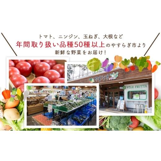 ふるさと納税 野菜類 茄子 高知県 香南市 長なす 2kg 2026年10月中旬以降発送 家庭用 茄子 国産 茄子 なすび 野菜 青果 肉厚 煮物 漬物 焼きなす 麻婆 訳あり …_6