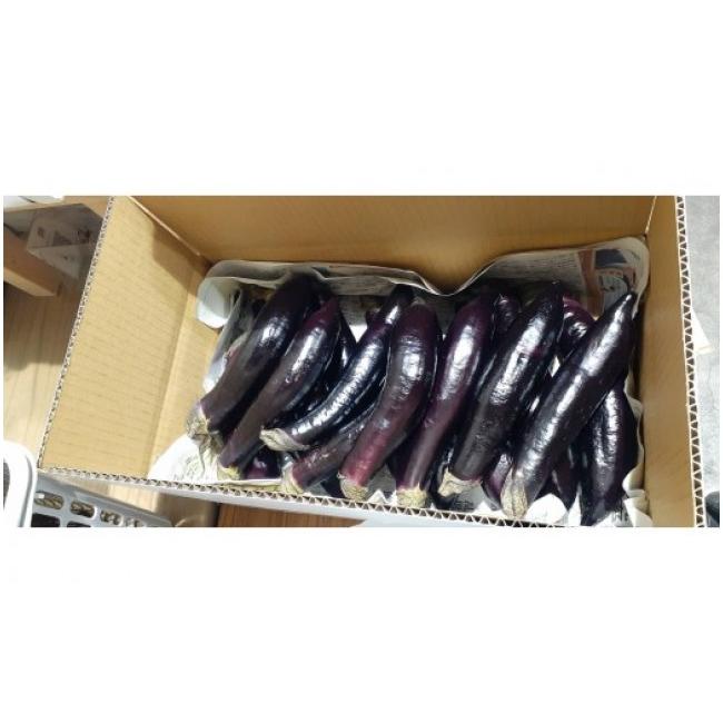 ふるさと納税 野菜類 茄子 高知県 香南市 長なす 2kg 2026年10月中旬以降発送 家庭用 茄子 国産 茄子 なすび 野菜 青果 肉厚 煮物 漬物 焼きなす 麻婆 訳あり …_7