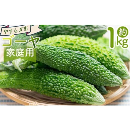 ふるさと納税 野菜類 高知県 香南市 2025年10月以降発送 ゴーヤ 1kg 家庭用 yr-0073
