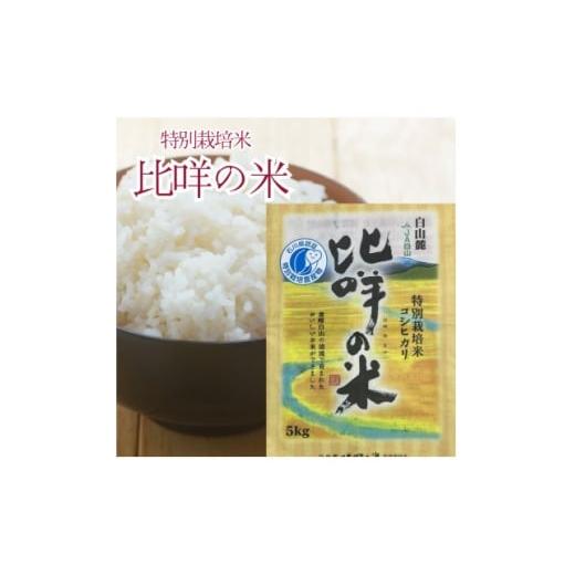 ふるさと納税 米 石川県 白山市 特別栽培米 比?の米(白山麓コシヒカリ)精米5kg 1596858