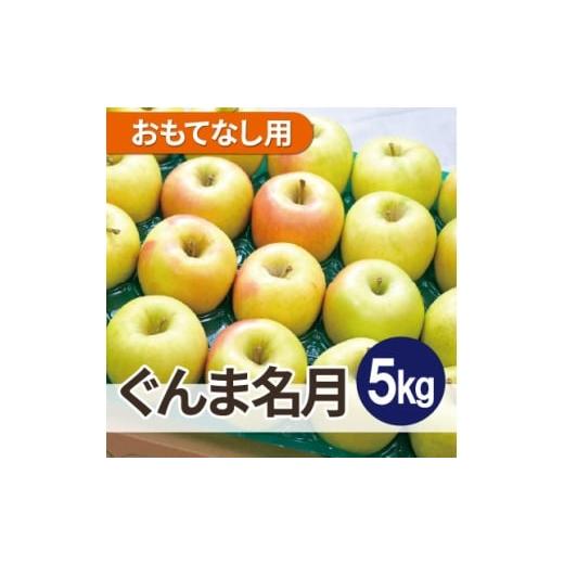 ふるさと納税 りんご 青森県 大鰐町 25年12月出荷予定 平均糖度13度以上 ぐんま名月 約5kg おもてなし用 1668012