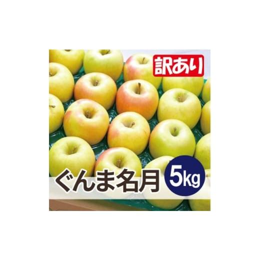 ふるさと納税 りんご 青森県 大鰐町 25年12月出荷予定 平均糖度13度以上 ぐんま名月 約5kg 訳あり 1668014