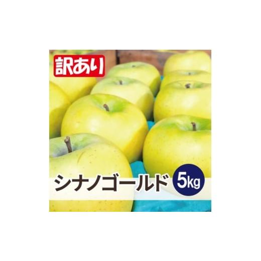 ふるさと納税 りんご 青森県 大鰐町 25年12月出荷予定 平均糖度13度以上 シナノゴールド 約5kg 訳あり 1668091