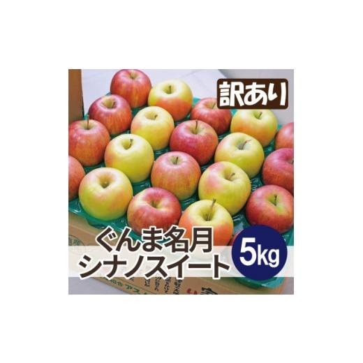 ふるさと納税 りんご 青森県 大鰐町 1月出荷予定 糖度13度以上保証 ぐんま名月×シナノスイート 約5kg 訳あり 1668117