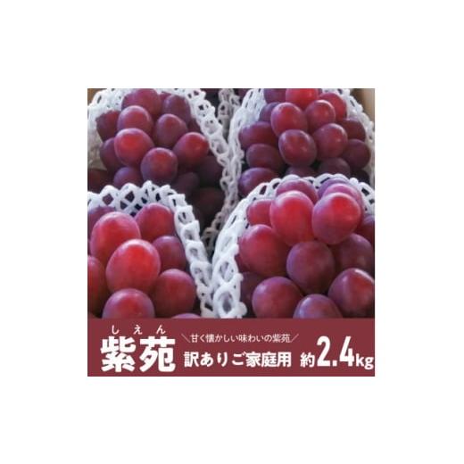ふるさと納税 ぶどう 岡山県 津山市 きよとうファーム 訳ありご家庭用 懐かしい味わいの葡萄「紫苑(しえん)」/約2.4kg(岡山県産) 1602179