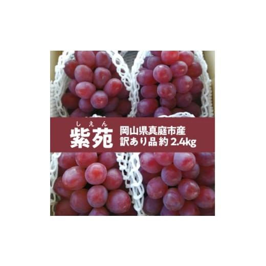 ふるさと納税 ぶどう 岡山県 津山市 きよとうファーム 訳あり品 甘くて懐かしい味わいの葡萄「紫苑(しえん)」/約2.4kg(岡山県産) 1602450