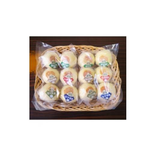 ふるさと納税 加工品等 長野県 木祖村 毎月定期便 ふっくらほんのり甘みのある皮が特徴 源流の里おやきセット全6回 4074301