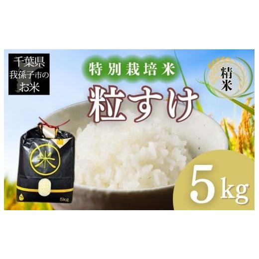 ふるさと納税 米 千葉県 我孫子市 千葉県 我孫子市産 特別栽培米 精米 粒すけ 5kg
