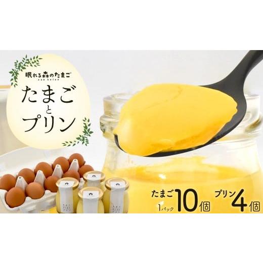 ふるさと納税 卵(鶏、烏骨鶏等) 宮城県 蔵王町 眠れる森のたまごとたまごたっぷりプリンのセット