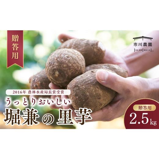 ふるさと納税 人参・大根・他根菜 埼玉県 狭山市 里芋 堀兼の里芋(贈答用) 2.5kg | さといも 里いも 里芋 サトイモ 土付 野菜 旬 新鮮 期間限定 季節限定 根菜…