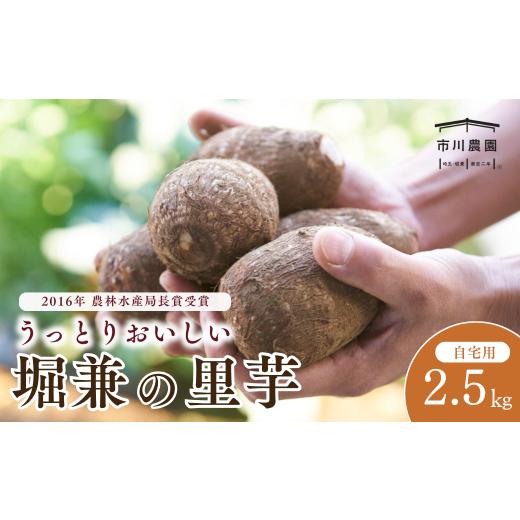 ふるさと納税 人参・大根・他根菜 埼玉県 狭山市 里芋 堀兼の里芋(自宅用) 2.5kg | さといも 里いも 里芋 サトイモ 土付 野菜 旬 新鮮 期間限定 季節限定 根菜…