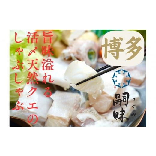 ふるさと納税 魚貝類 福岡県 福岡市 博多 嗣味 活〆天然クエのしゃぶしゃぶ 2〜3人前