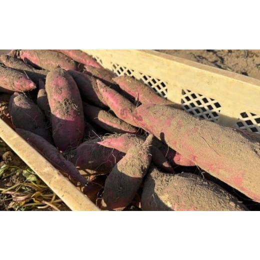 ふるさと納税 野菜類 サツマイモ 青森県 むつ市 期間限定発送 土付き 農家直送 さつまいも3種詰合せ 3kg 紅はるか 農家おまかせ