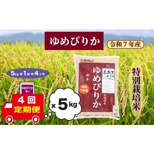 ふるさと納税 米 ゆめぴりか 北海道 奈井江町 定期便4回 北海道奈井江町 特別栽培米 ゆめぴりか 5kg