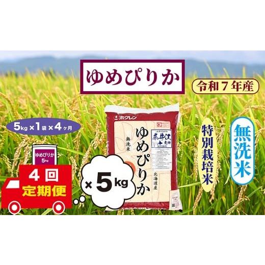 ふるさと納税 無洗米 北海道 奈井江町 定期便4回 北海道奈井江町 特別栽培米 ゆめぴりか 5kg 無洗米