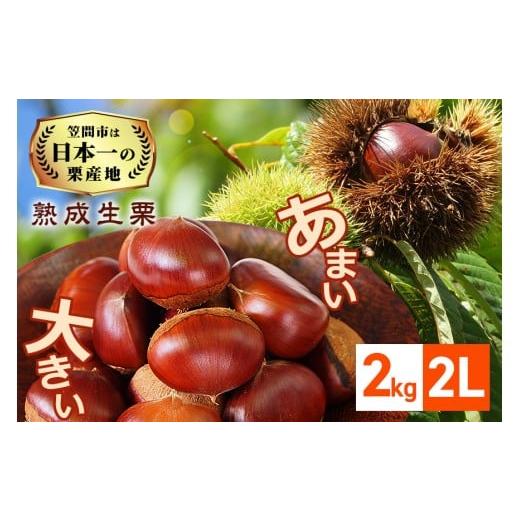ふるさと納税 果物類 栗 茨城県 笠間市 生栗 栗 2kg 2L 数量限定 国産 和栗 くり クリ スイーツ 果物 フルーツ 栗きんとん モンブラン 栗ご飯 栗ごはん 秋 旬 …