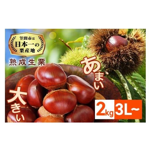 ふるさと納税 果物類 栗 茨城県 笠間市 生栗 栗 2kg 3L 以上 特大 数量限定 国産 和栗 くり クリ スイーツ 果物 フルーツ 栗きんとん モンブラン 栗ご飯 栗ご…