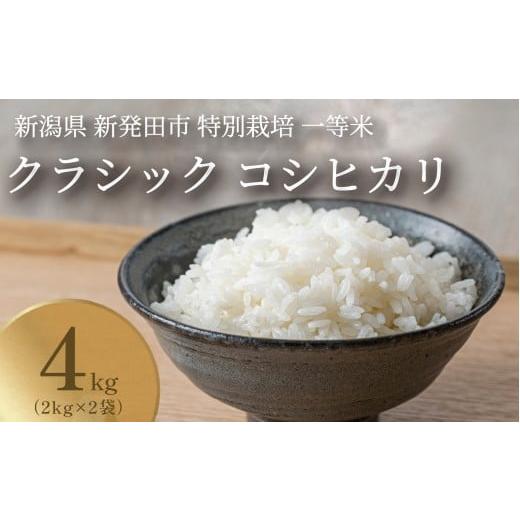 ふるさと納税 米 コシヒカリ 新潟県 新発田市 発送日がわかる 米 コシヒカリ 特別栽培米 クラシック 2kg × 2袋 4kg 選べる 発送月 発送日 令和7年産 7年産 …