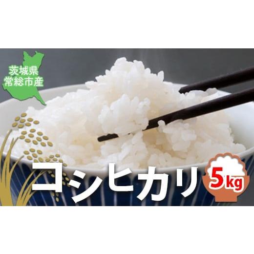 ふるさと納税 米 コシヒカリ 茨城県 常総市 令和7年産 精米 コシヒカリ5kg|茨城県常総市産 精米 米 お米 白米 ご飯 コメ こめ こしひかり