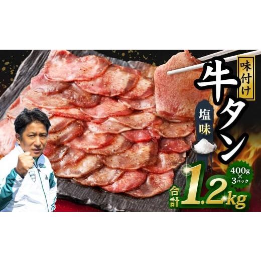 ふるさと納税 牛肉 タン 熊本県 水上村 味付き牛タン 塩味 400g×3P 計1.2kg 牛 牛肉 肉 にく ミート 牛タン タン 薄切り うす切り スライス 特製ダレ しお味 …