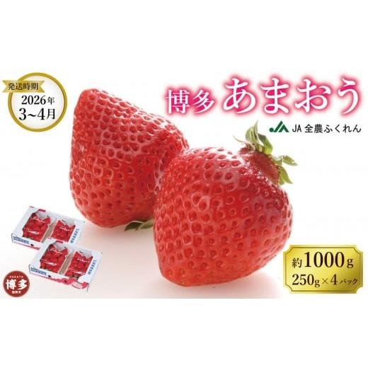 ふるさと納税 いちご 福岡県 福岡市 2026年3月〜4月発送 博多あまおう約250g×4