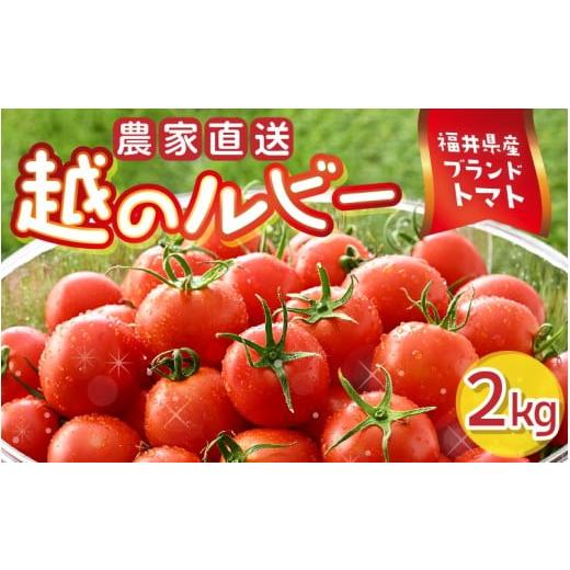 ふるさと納税 野菜類 トマト 福井県 坂井市 越のルビー 農家直送 フルーツトマト2kg 福井県産ブランドトマト とまと トマト ミディトマト 野菜 生野菜 美容 健…