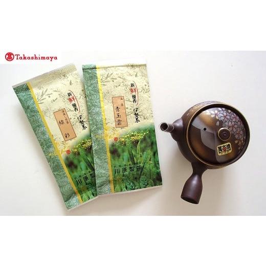 ふるさと納税 お茶類 緑茶(飲料) 三重県 多気町 高島屋選定品 &lt;川原製茶&gt;煎茶と急須セット 玉露・深蒸し煎茶 TSY-04-05