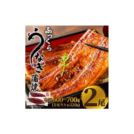 ふるさと納税 魚貝類 鱧 福岡県 福岡市 ふっくら大判うなぎ蒲焼 計約640g(約320g×2尾)
